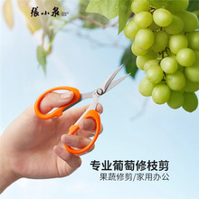 ��СȪ�����޹����ü��������k��������ɹ����������Ӳ�ժ��֦��