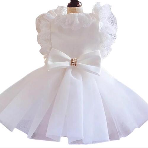 Pet dog white wedding dress teddy dog formal clothes veil cat princess evening dress tutu skirt for cats