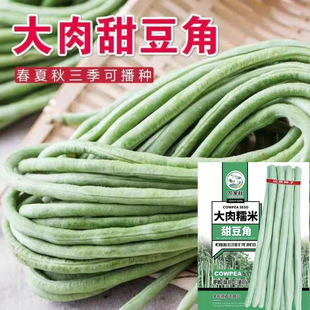 ���ó�Ŵ���𶹽ǷN�Ӱ��L���Ǵ���o���ļ��������L�����׷N�߲�