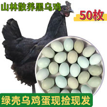 正宗农家散绿壳乌鸡蛋新鲜放月子蛋鲜鸡蛋整箱