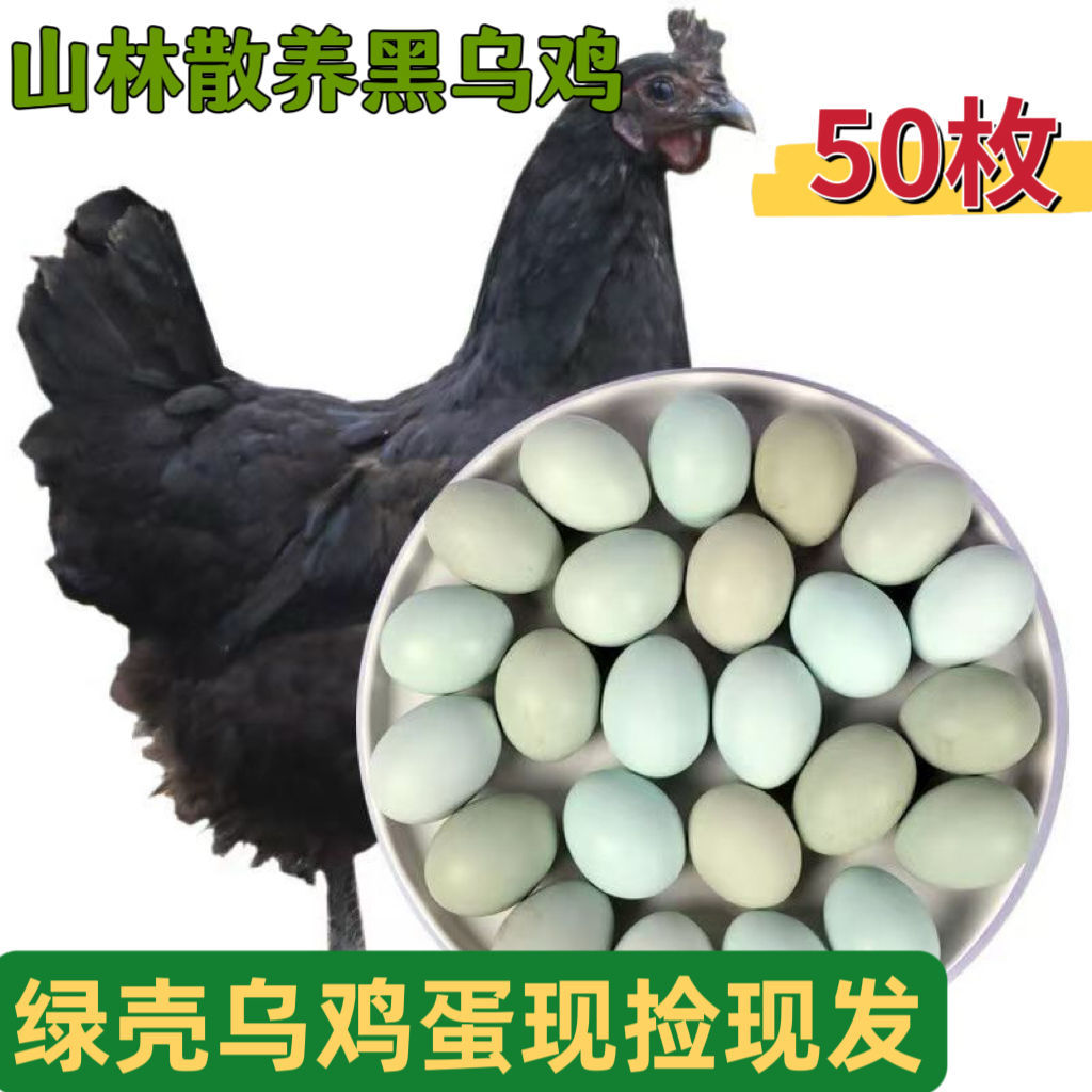 正宗农家散绿壳乌鸡蛋新鲜放月子蛋鲜鸡蛋整箱