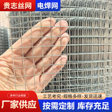 外贸跨境出口电焊网热镀锌钢丝网1/2网孔五金布浸塑电焊网铁丝网