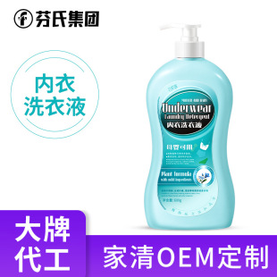 Customized Intimates Laundry Detergent for Washing Intimates and Intimates Guangdong Jiaqing Oem/Odm Customized Source Manufacturer