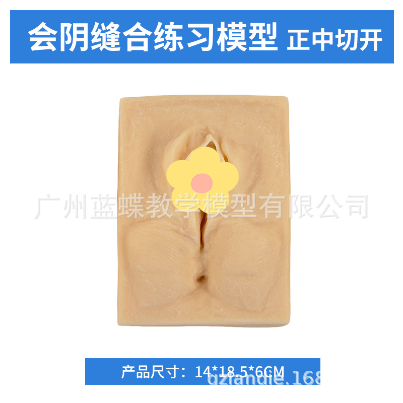 ������רҵ���������ϰģ�ͻ�����ϼ���ѵ��ģ�鸾���Ʒ��ѵ��