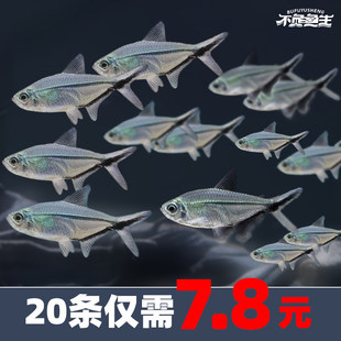 ��β�󹴺�β������~õ�島��ݸ��~Ⱥ���~�^�p�~��ˮ�Ꭷ�~���w