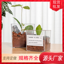 �S�����l���ϻ���͸���ķ���ˮ��ֲ��G�}��PS�����b����ӡ�D��