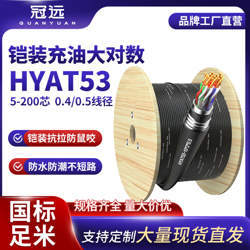 冠远国标HYAT53充油铠装防潮大对数20/30对0.5线径室外通信电缆