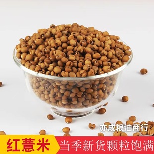 �t޲�����l �r����؛С���t޲����50��t������