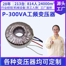 定制P300VA工频变压器电源环形变压器干式功放单相音频隔离变压器