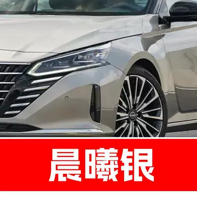 Avtomobil boya qələmləri — Nissan Sylphy, Qashqai, Teana, X-Trail - buy-one-get-two-1-coat-of-color-paint-1-coat-of-brightening-polish-plus-a-free-toolkit-cleaning-cotton-and-applicator-brush-dawn-silver