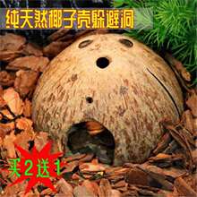 ��ȻҬ������،m����֩����ϐ�ӂ}������ܶ����x��ľ�з��Ѩ