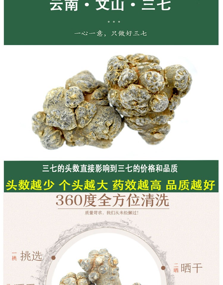 San Qi Notoginseng Root Tian Qi Dried Whole Roots Wenshan Panax notoginseng for Decoction and Powder overview