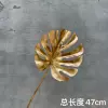 Golden little turtle back lobe
