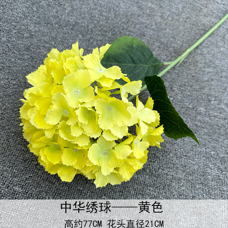 Hortensia China amarilla