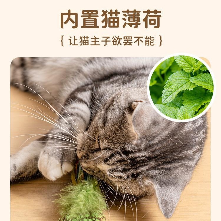 고양이 장난감 고양이 놀리는 스틱의 시뮬레이션은 장난감 새끼 고양이 셀프 히라고 부르며 지루함 유물 긁힘 방지 애완 동물 용품을 덜어줍니다.