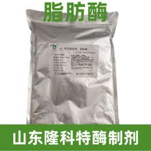 山东隆科特 脂肪酶 1kg Lipase 酶制剂食品添加剂
