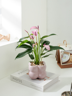 �����R���������M�ڻ����^�~�Gֲ�k���҃ȿ͏d��������ֲ���^���l