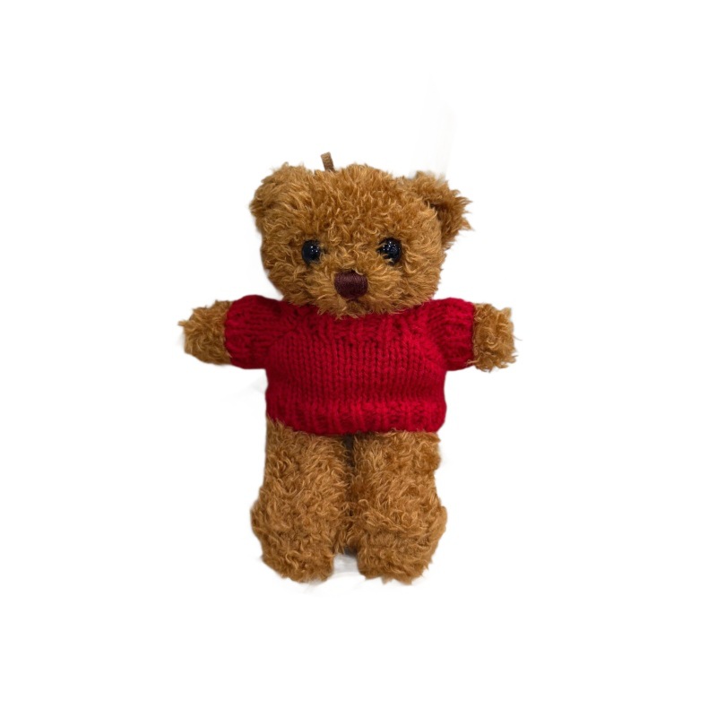 Teddy Bear juguete de peluche colgante llavero se puede imprimir LOGO Teddy Bear muñeca vestir Teddy Bear muñeca agarrar máquina de muñeca