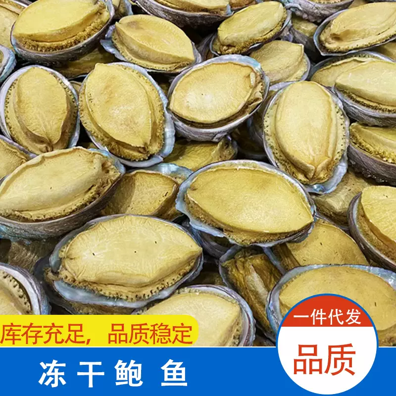 活鲍加工洗壳面干净冻干鲍鱼500克 冻干鲍鱼干货批发