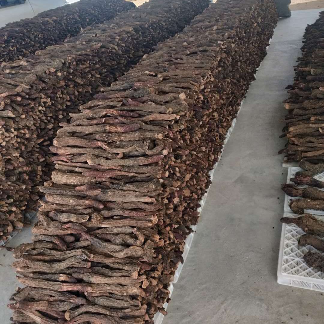 Dried Cynomorium Songaricum Slices Suo Yang 100g Traditional Herbal Decoction Pieces for Soup and Tea quality and texture