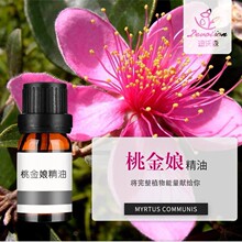 香桃木精油Myrte oil桃金娘精油蒸馏提取芳疗香薰精油原料批发