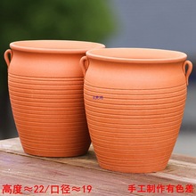 �o�Լt���؟���������ֲ�ﻨ����չ��մ�����÷����ͥԺ