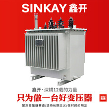 s20-800ǧ��1000kw�Y�M�eDyn11�p�@�M1250kva�~���d�{��׃����