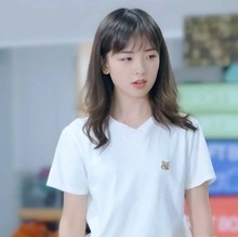 25杨幂董洁赵露思男女同款新款经典狐狸头黄头刺绣T恤宽松短袖