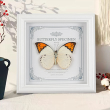 ������˱�����b��Ҿ����w�[���ֹ�DIY���նY�����x�˱����