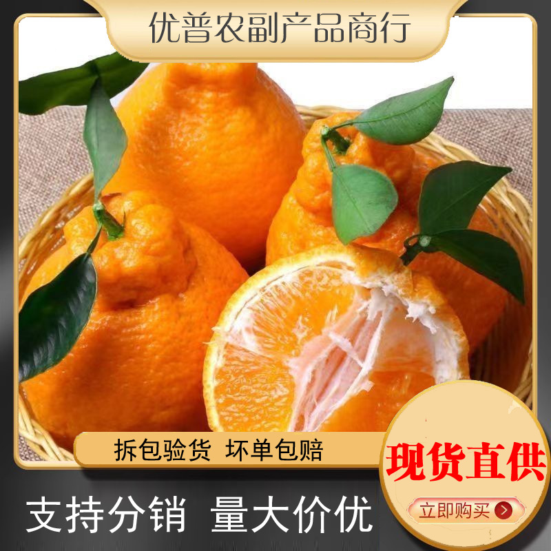 四川眉山不知火丑橘丑八怪丑柑新鲜水果现摘批发一件代发真丑橘