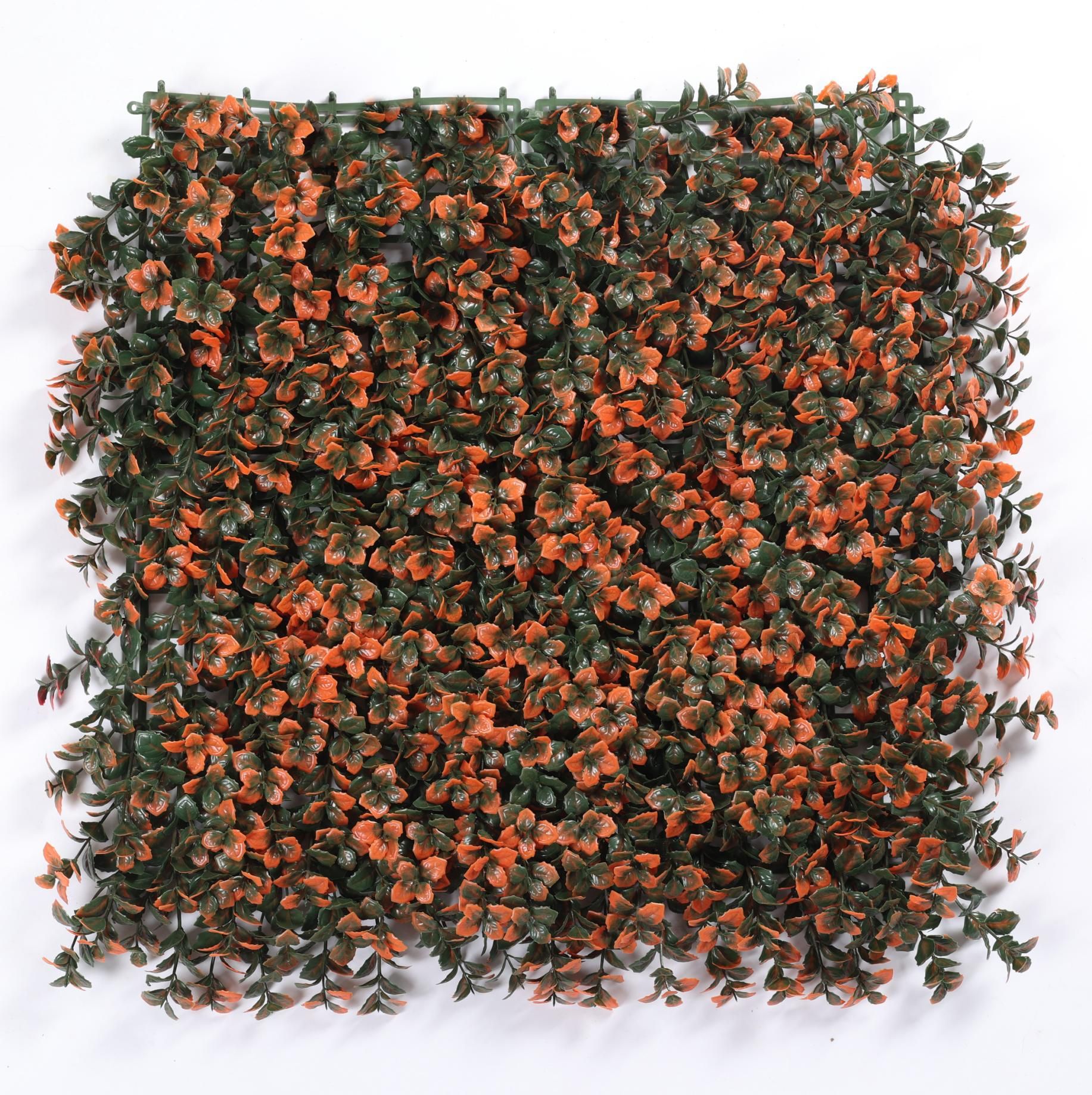 Orange lucky clover