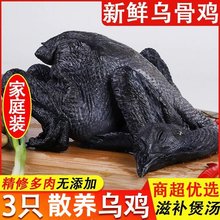 ���u���r�F���������u�r��ɢ�B����u�����u���u���u�����u��ĸ�u