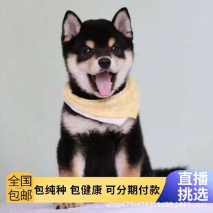 ��Ȯ��Ȯ���N���w���ﹷ���ձ���Ȯ���̶���ڲ�����Ȯ���NС��Ȯ