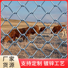 �F؛��\�����W�r���Bֳ�F�z�W���ڲ�ԭţ���Bֳ���W����@���W