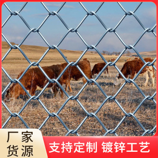 �F؛��\�����W�r���Bֳ�F�z�W���ڲ�ԭţ���Bֳ���W����@���W