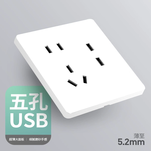 Two or three pole socket + USB.