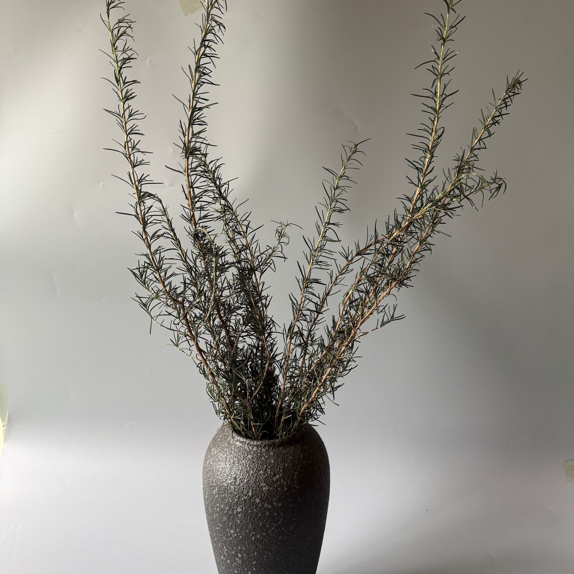 Rosemary eternal flower flower arrangement home wedding photography…