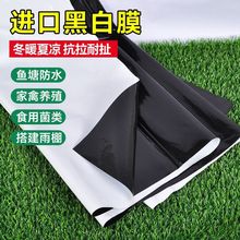 国标黑白膜加厚抗老化养殖大棚防雨防晒塑料膜食用菌绿白膜LD批发