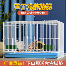 С�u����\�ӻ\�������u�\С�u�\�g����٪���û\����С�S���\