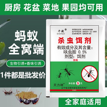 蚂蚁药灭蚁清驱防蚂蚁药粉连环杀蚁饵剂家用室内外厨房批发代发5g
