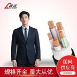 国标YJV/YJV22 0.6/1KV铜芯 电缆4 5芯10～300平方低压电力电缆线