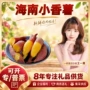 海南新鲜蔬菜番薯
