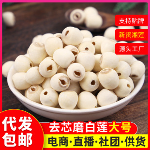 ��ȥо��ɏ����̖ĥ��ɏ�Ӹ�؛��ɏ����̶����ɏ500g��Ŵ����ɏ��