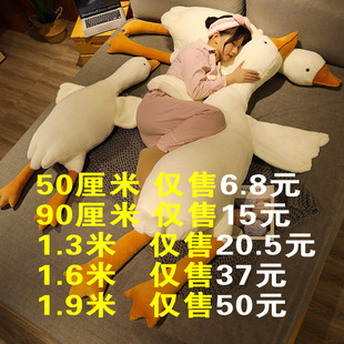 �W�t����Z����ë�q��ߴ��Z��żŮ��˯�X�A�ȱ�˯���������ӹ���
