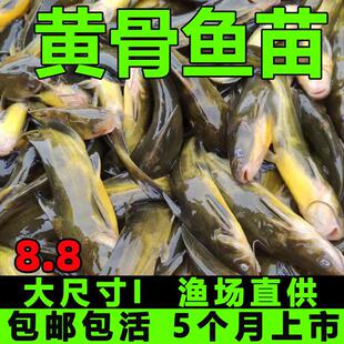 �S���~���S��~�絭ˮ�Bֳʳ�û��w�SѾ�^�S���а����~�S�����~��