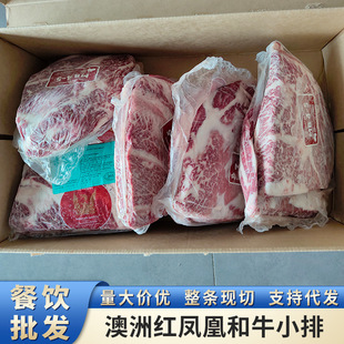 ����203�t�P�˺�ţM4-5ţС��ѩ����ţ�����⿾�����ϻ��