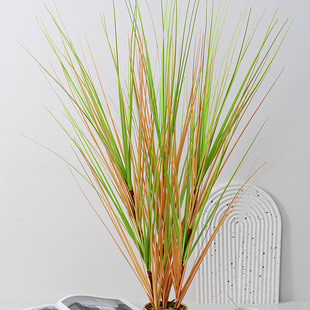 ����Ҿ��b��쾰�JȔ�����[�ݹ�β�݆�֧�Ƶ�@�־��^ܛ�b���