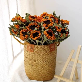 干花;永生花