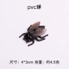 Cicada