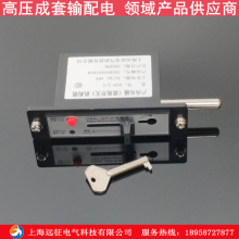 DSN-J/Z接地电磁锁 开关柜 高压柜电磁锁  220V/48V电磁锁中国